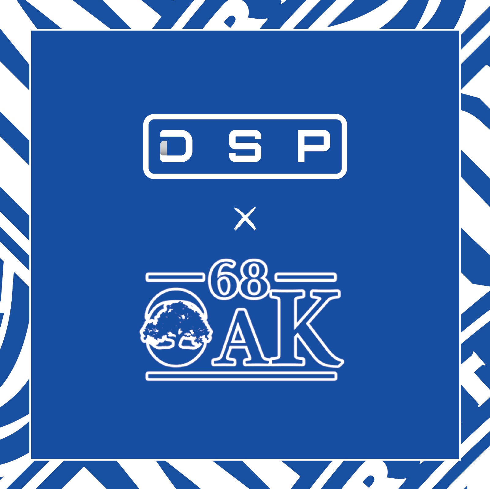 DIGITAL SPORTS PARTNERS ANNOUNCES PARTNERSHIP WITH 68 OAK COLLECTIVE, THE NIL COLLECTIVE OF HAMPTON UNIVERSITY